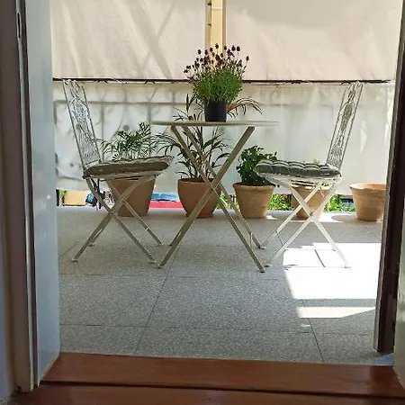 Laurel Center אופטיה